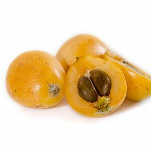 Loquat