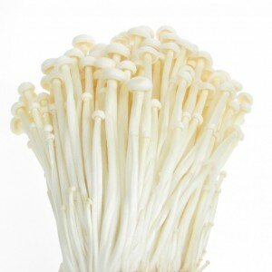 Enoki Paddenstoel