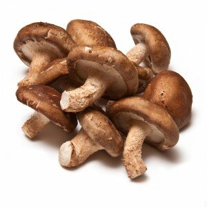 Shiitake